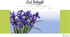 Desktop Screenshot of emilyedowitz.com